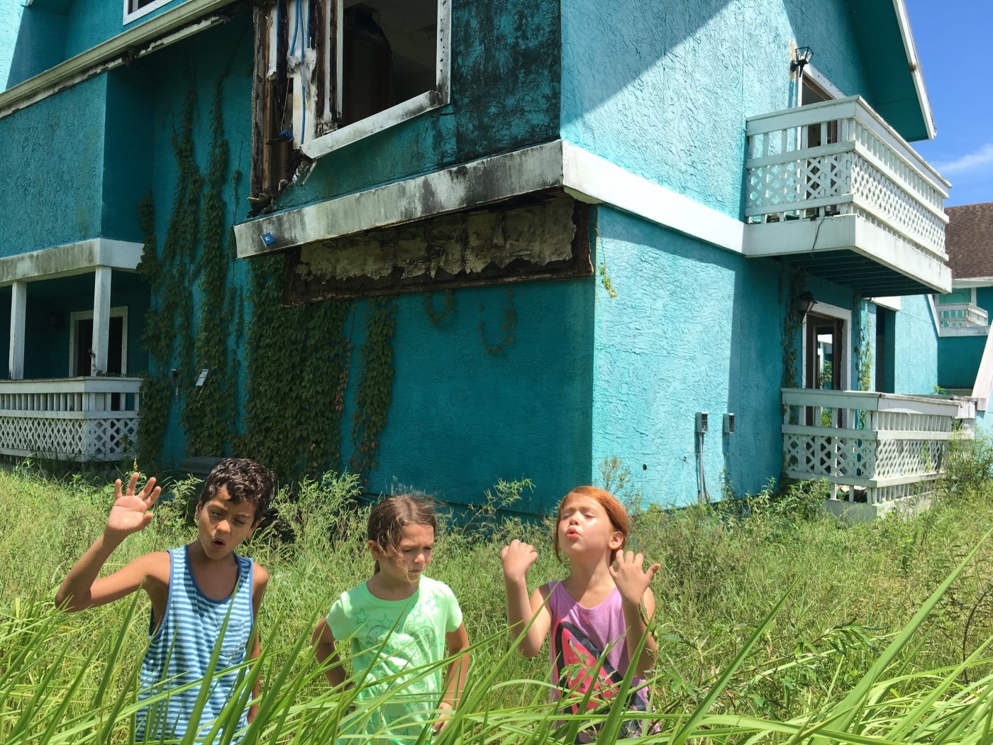 review phim The Florida Project ảnh 2 review phim The Florida Project anh 2