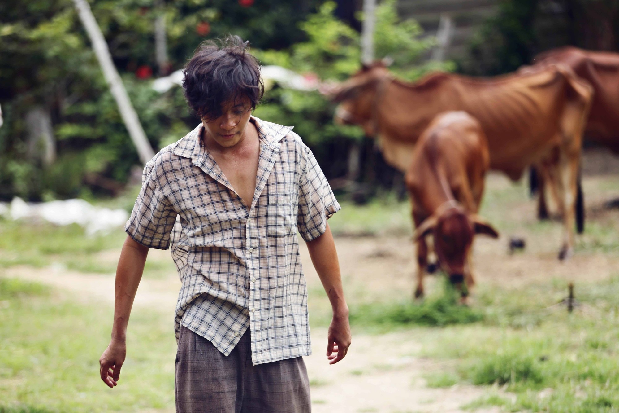 giai Canh dieu vang 2018 anh 1