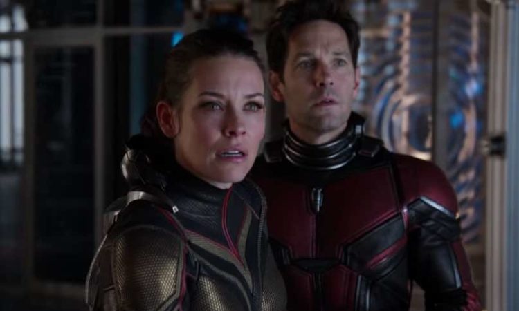 phim Người Kiến và chiến binh ong ảnh 1 phim Nguoi Kien va chien binh ong anh 1