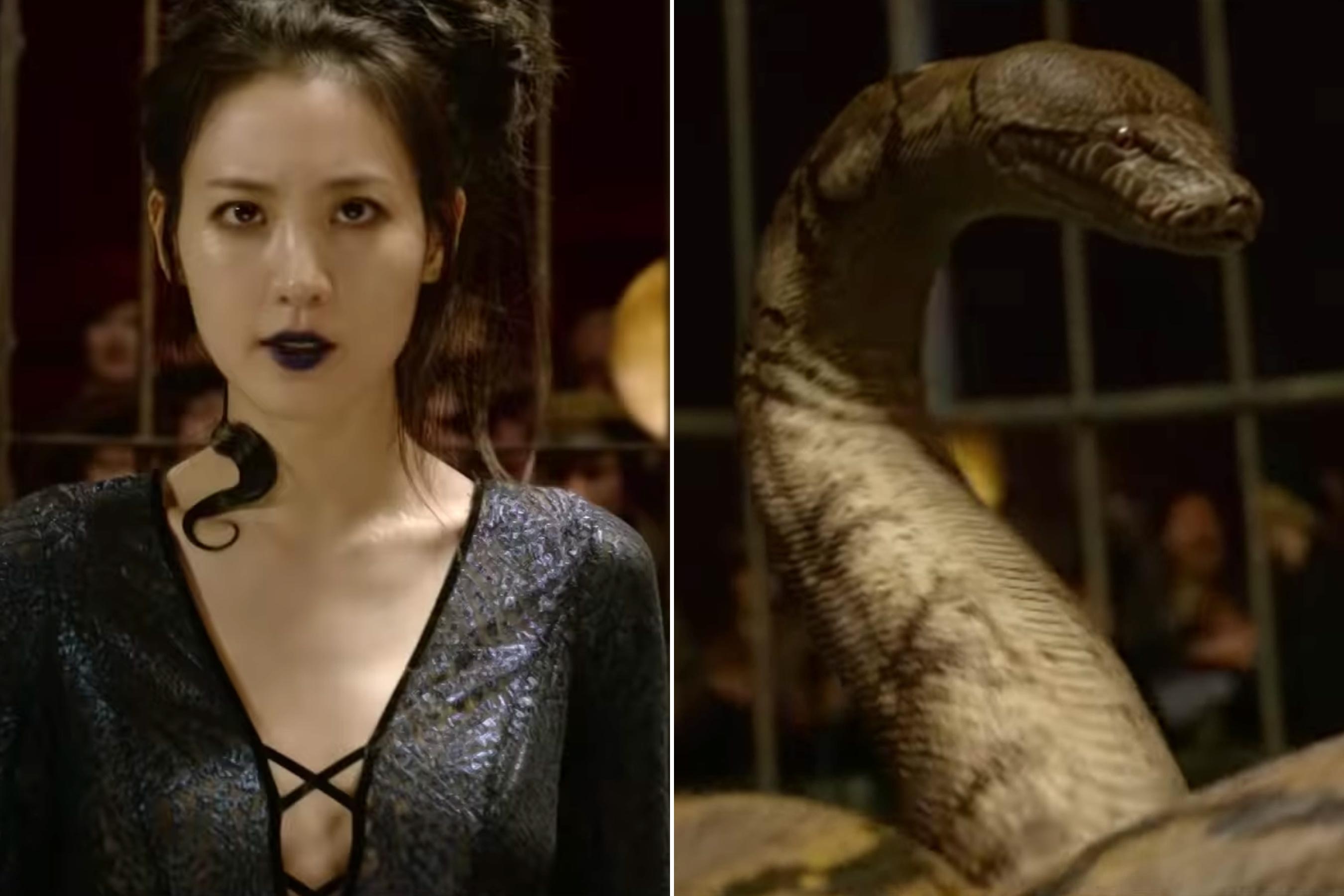 Loat chi tiet goi mo tu trailer cuoi cua ‘Fantastic Beasts 2’ hinh anh