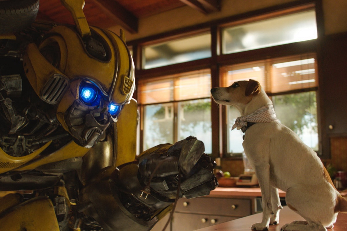 doanh thu Bumblebee ảnh 1 doanh thu Bumblebee anh 1