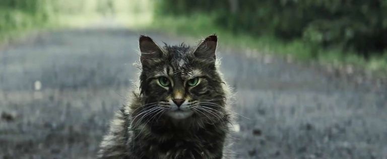 trailer nhan dip Super Bowl 2019 anh 5