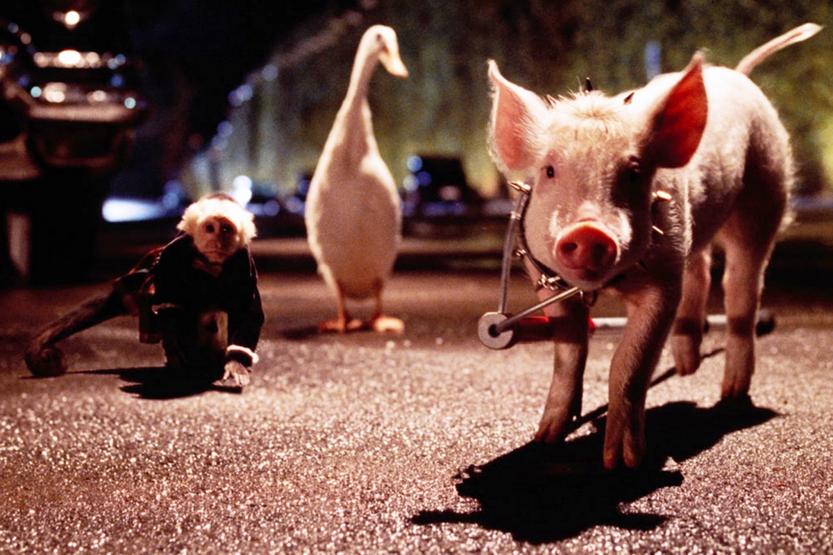 lon trong phim anh 4