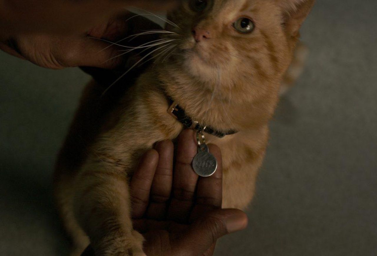 review phim Captain Marvel ảnh 6 review phim Captain Marvel anh 6