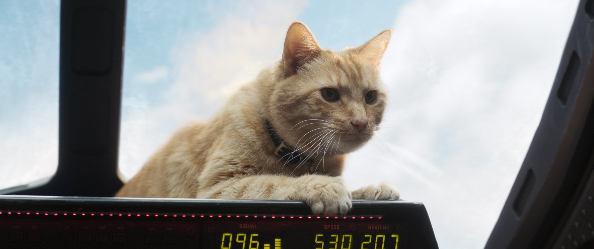 phim Captain Marvel ảnh 2 phim Captain Marvel anh 2