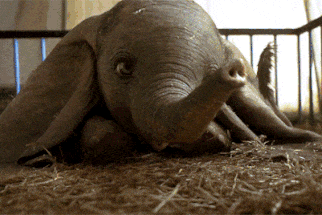 ‘Dumbo’- bo phim thieu nhi don gian, de thuong, nhung thieu cam xuc hinh anh