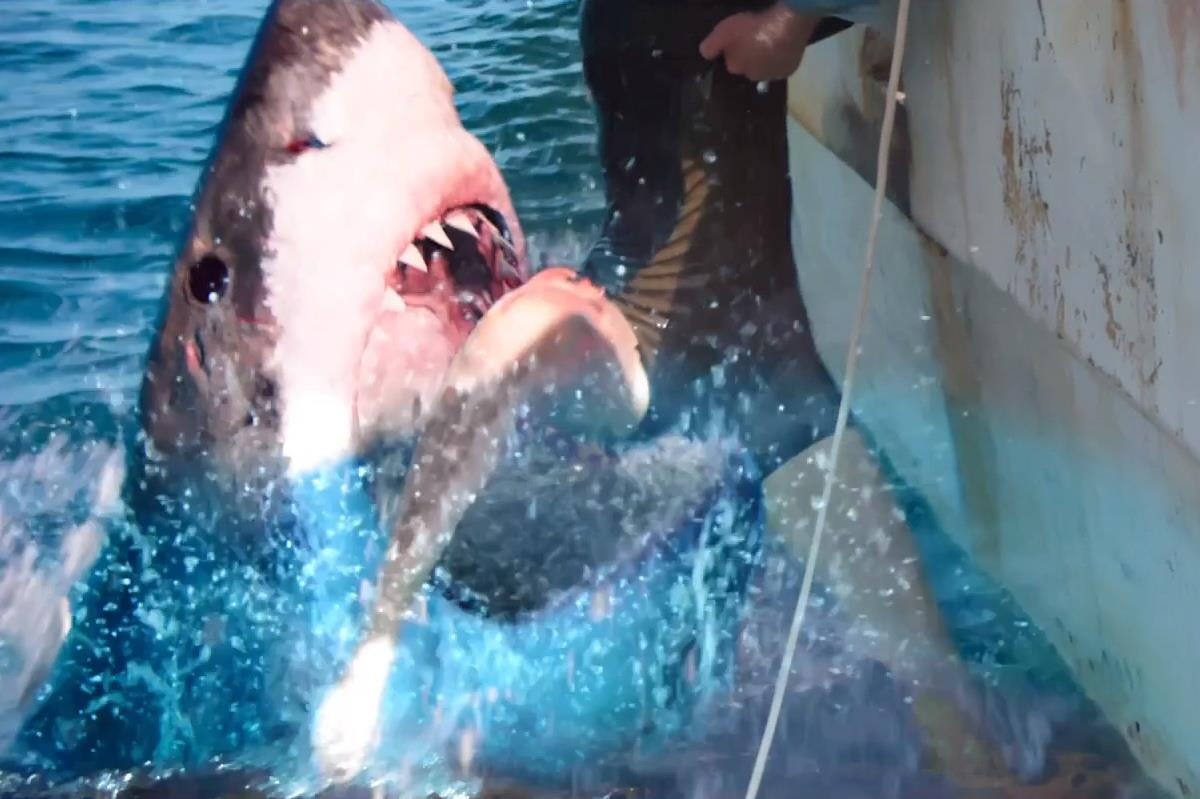 phim kinh di he 2019 anh 10