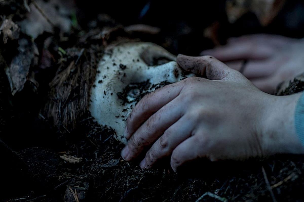 Loat phim kinh di dang cho doi trong mua he 2019 hinh anh