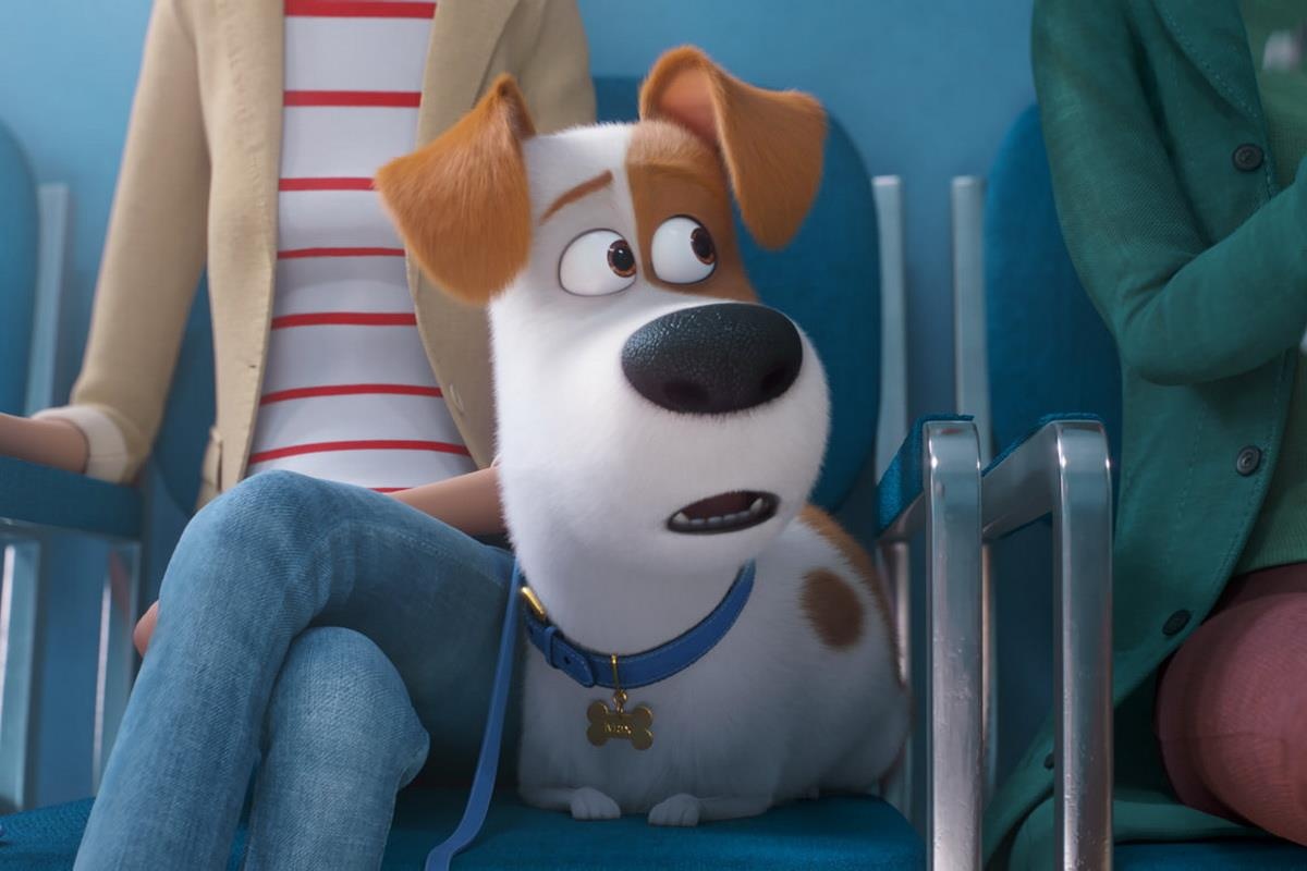 phim Dang cap thu cung 2 anh 1