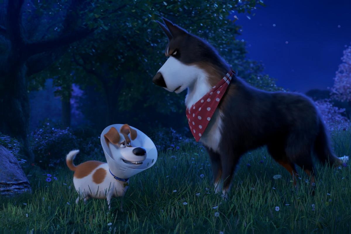 phim Dang cap thu cung 2 anh 6