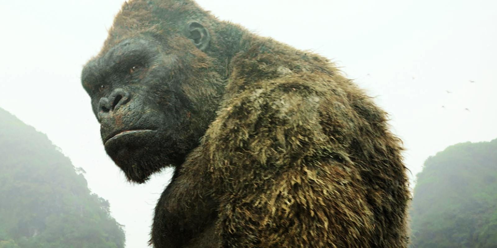 Godzilla easter eggs anh 17