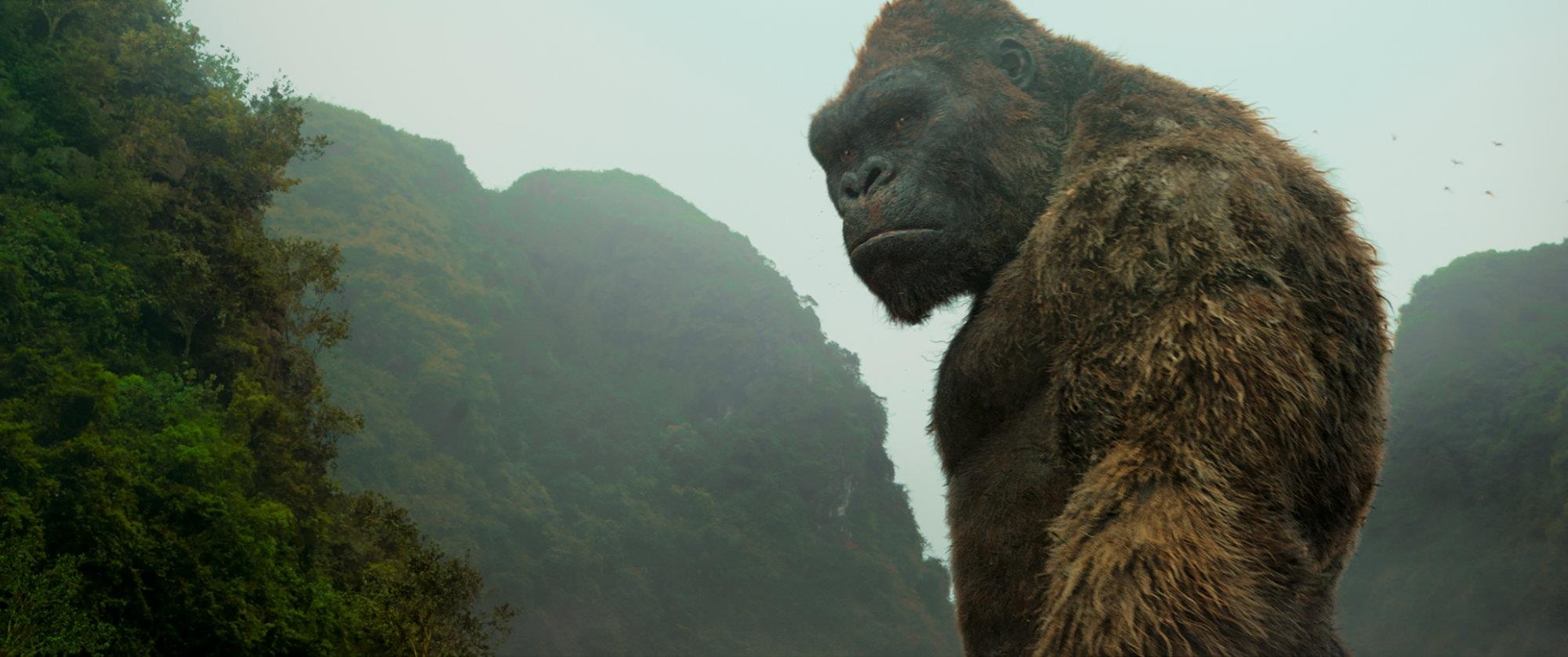doanh thu Chúa tể Godzilla ảnh 3 doanh thu Chua te Godzilla anh 3