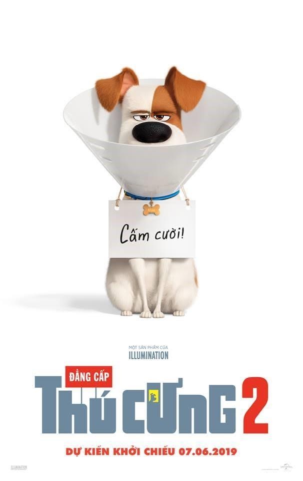 review phim Đẳng cấp thú cưng 2 ảnh 1 review phim Dang cap thu cung 2 anh 1