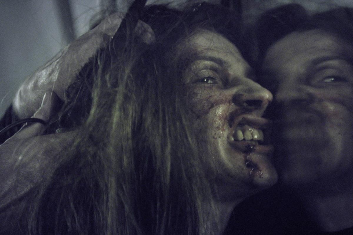 Noi am anh ghe ron tu the gioi trong guong cua mu Dam Bich hinh anh