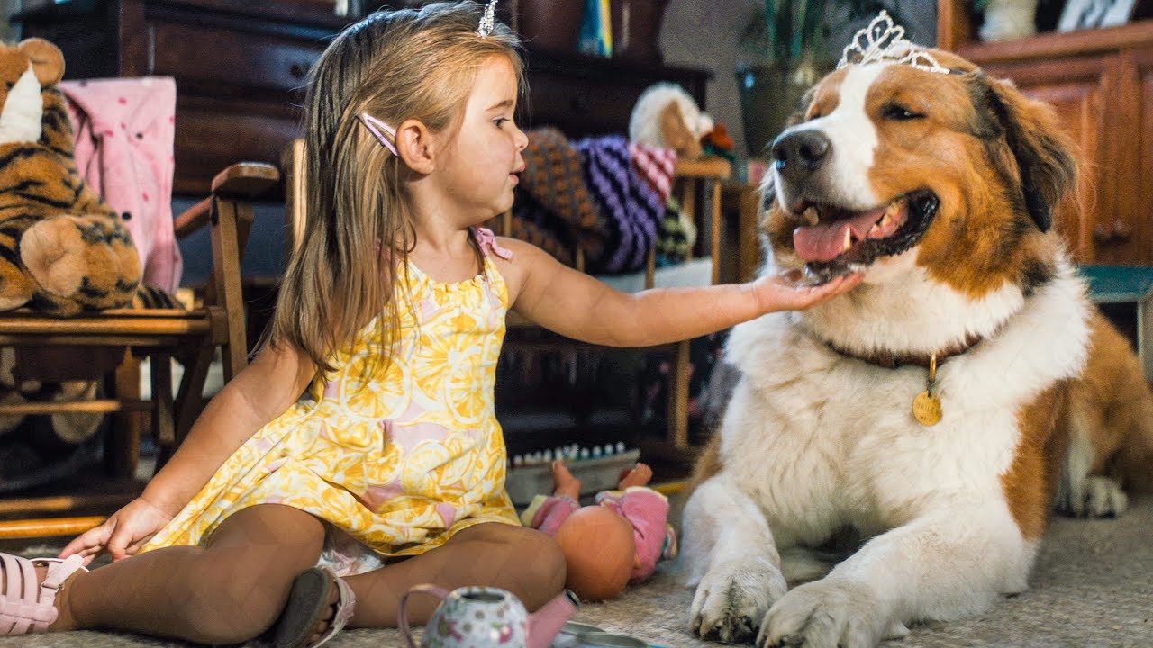 phim hay 2019 ảnh 2 phim hay 2019 anh 2