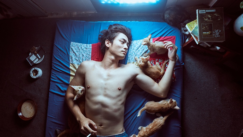 review phim Chang dang ca nang an hoa anh 3