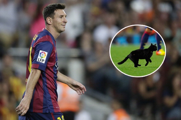 Chu meo den lai mang den van do cho Messi hinh anh