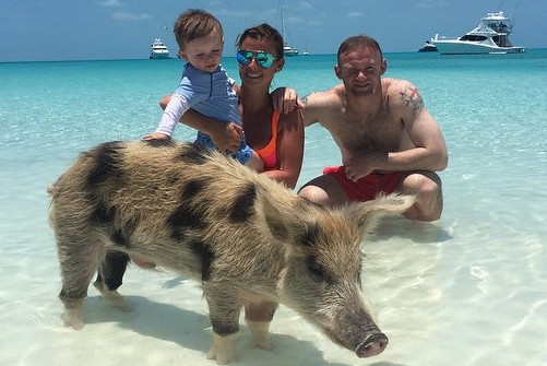 Ronaldo va cac sao bong da lam gi trong dip he? hinh anh