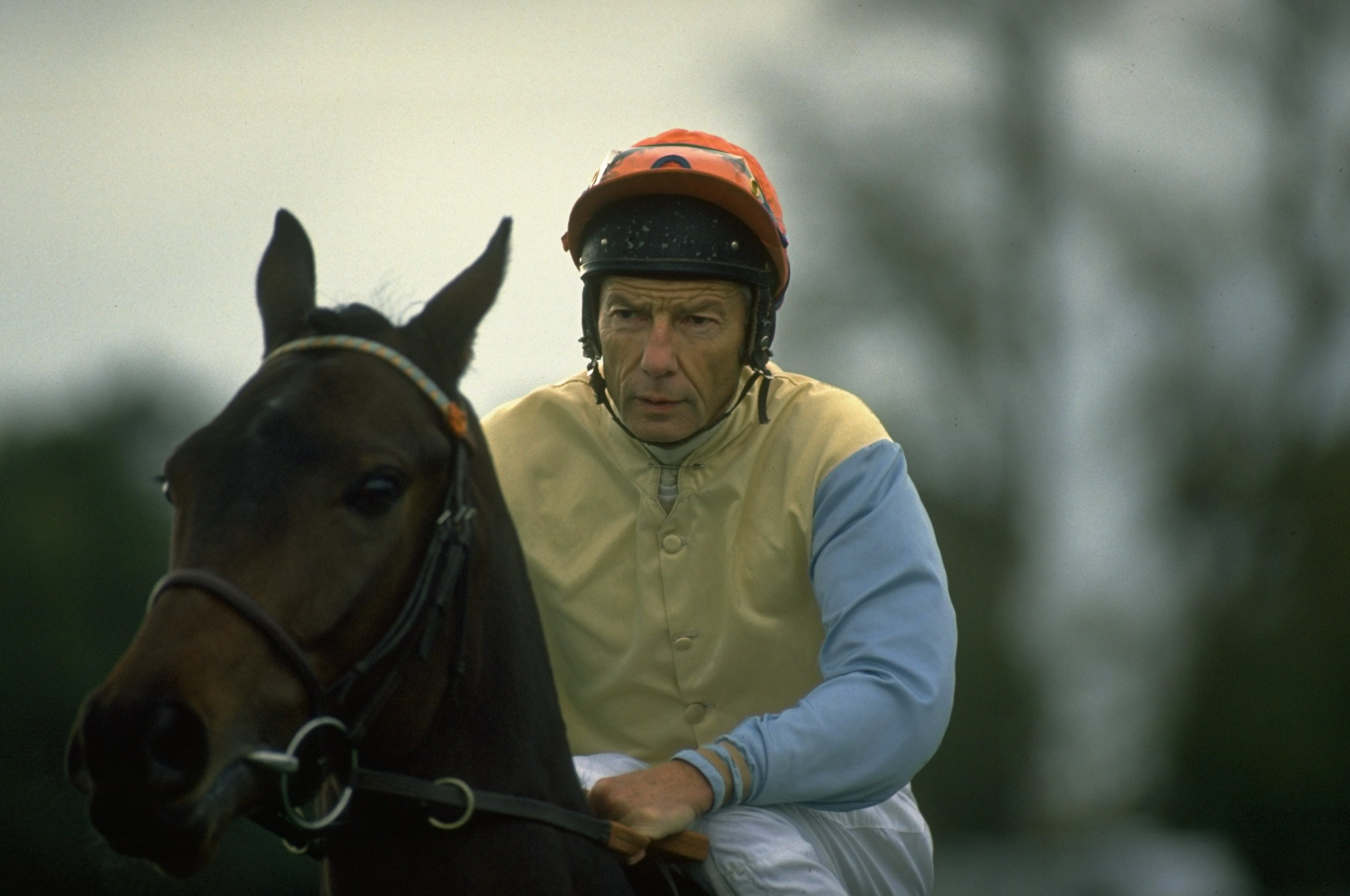 Sao the thao tron thue anh 6