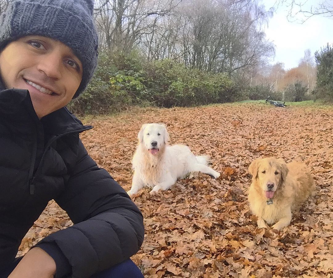 Ronaldo trổ tài sút phạt ảnh 4 Ronaldo tro tai sut phat anh 4