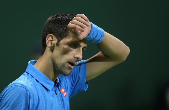 Highlights Djokovic 2-1 Verdasco hinh anh