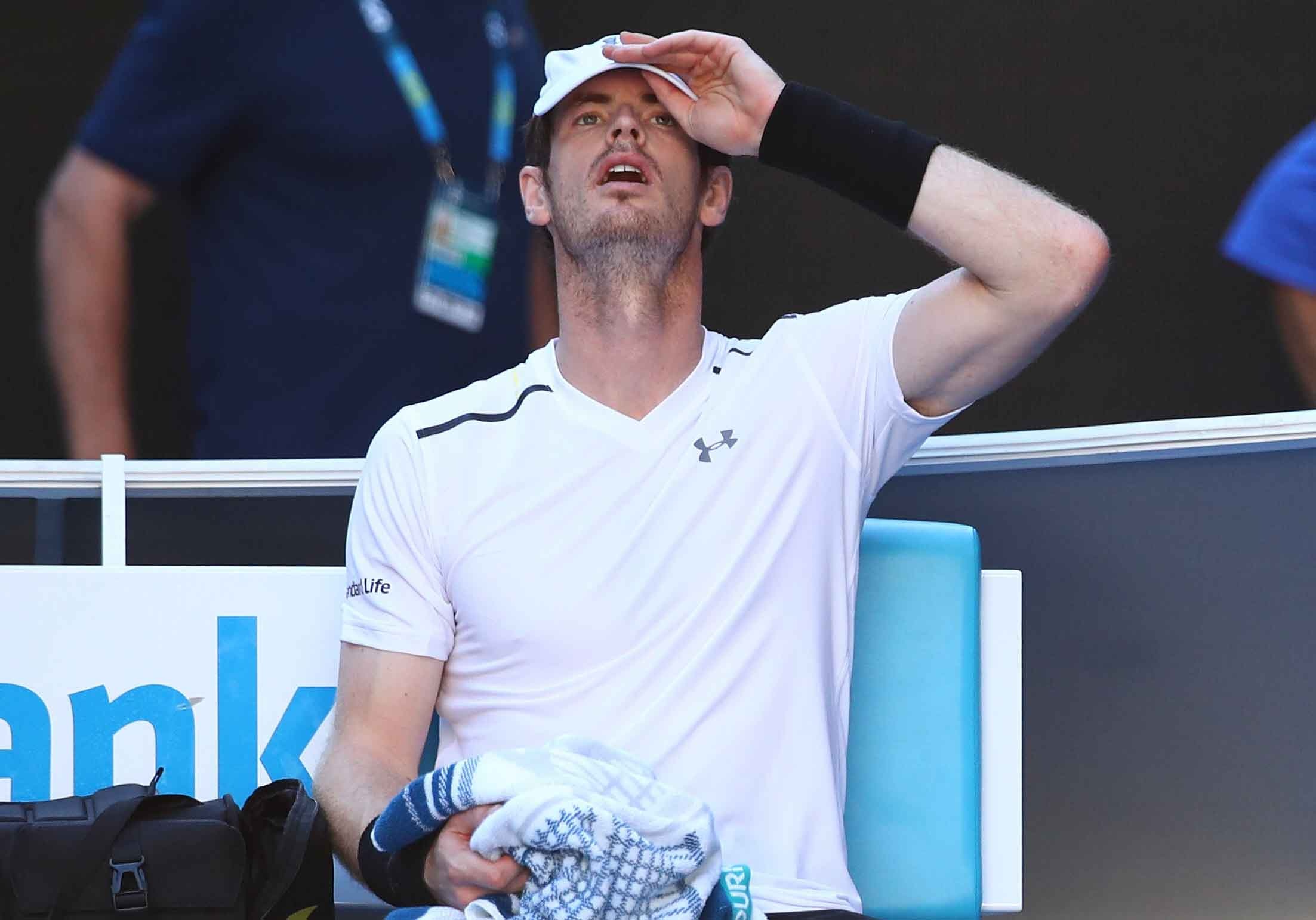 Murray thua soc o vong 4 Australian Open hinh anh