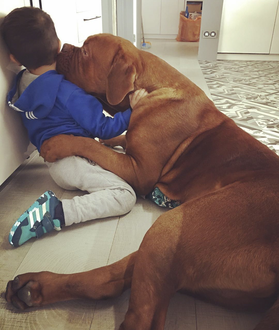 Con trai Messi chơi đùa cùng chó ảnh 1 Con trai Messi choi dua cung cho anh 1