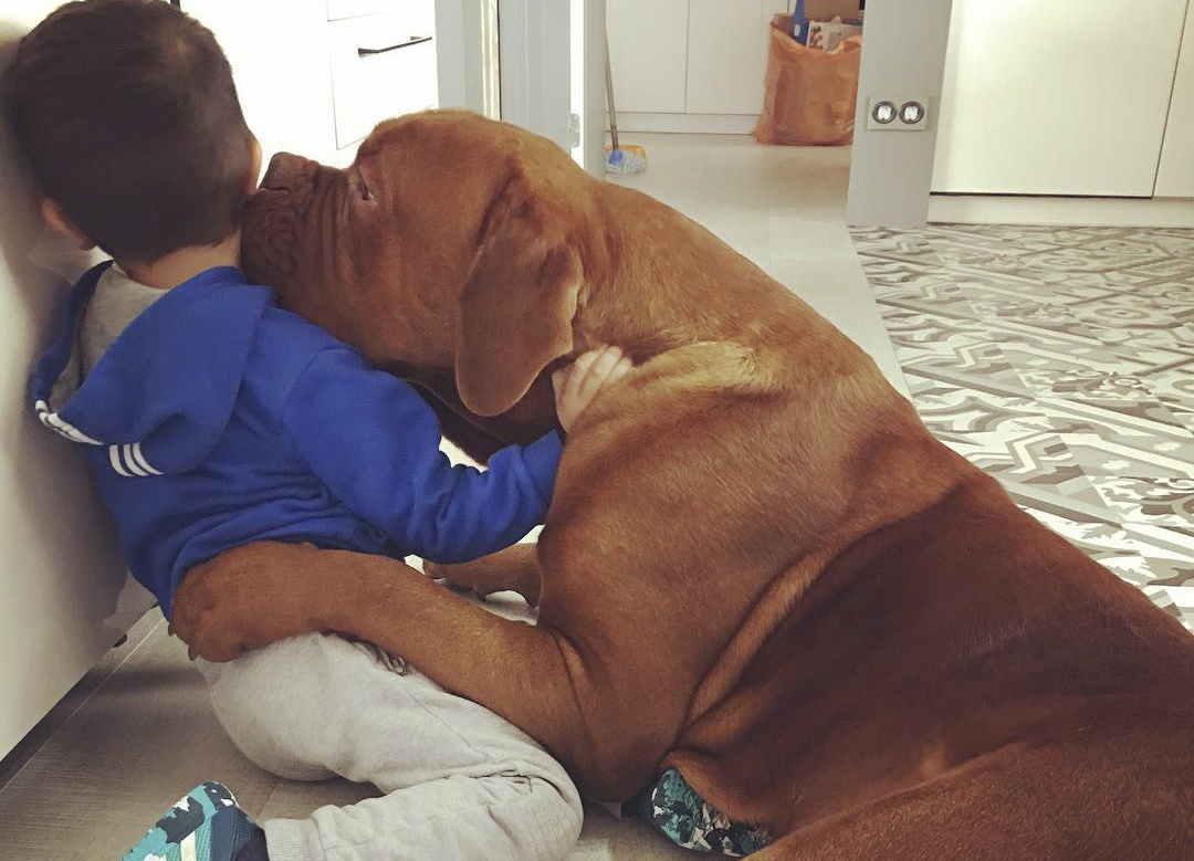 Con trai Messi choi dua cung cho khong lo hinh anh