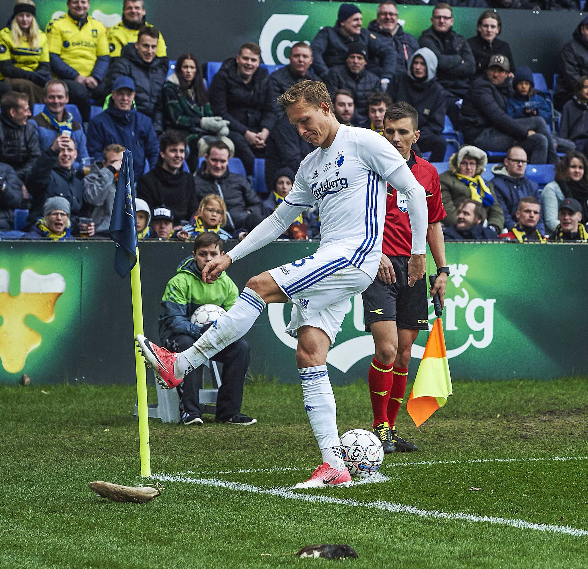 Cau thu bi tan cong bang chuot chet anh 1