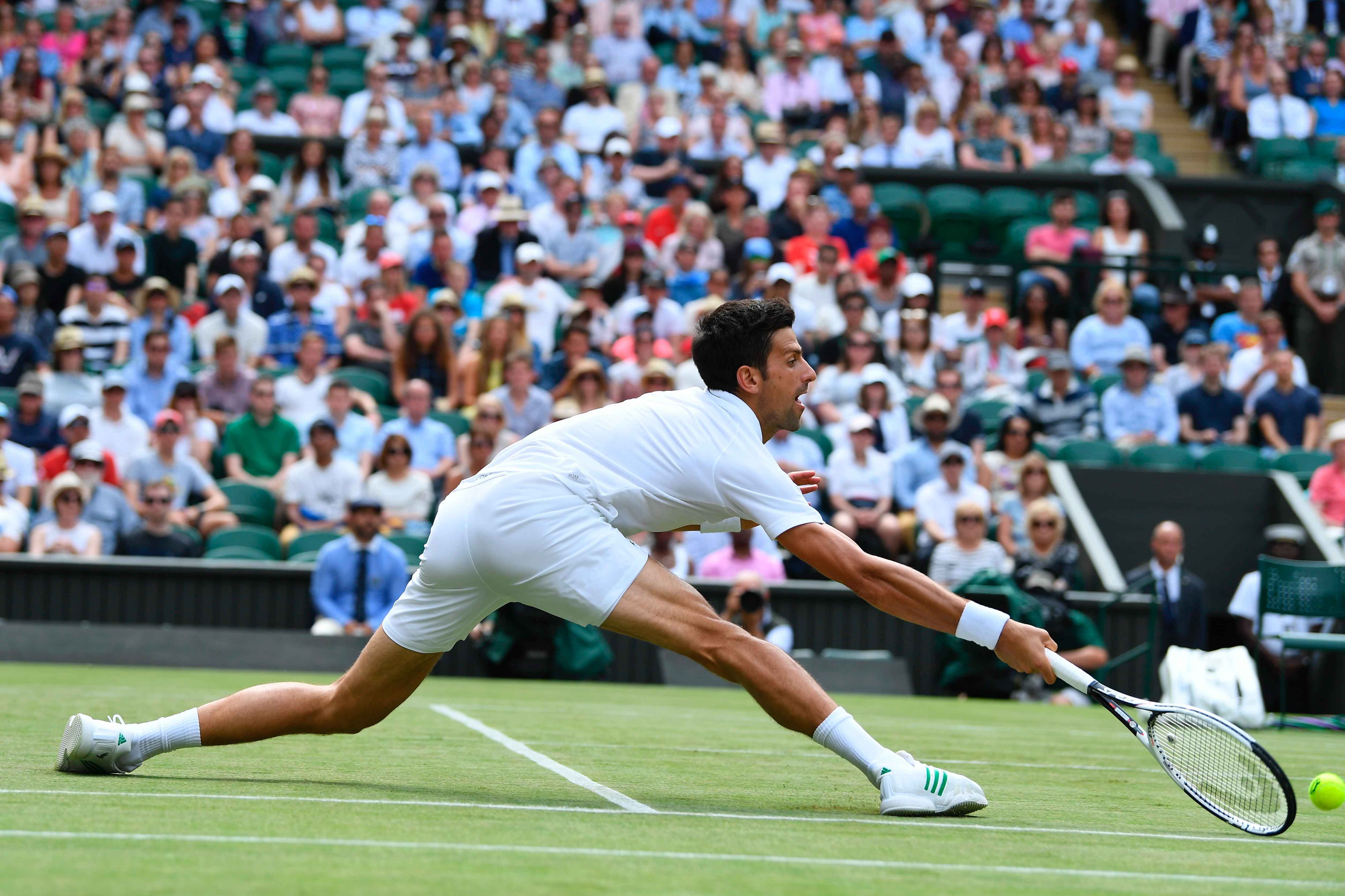 Federer va Djokovic anh 6