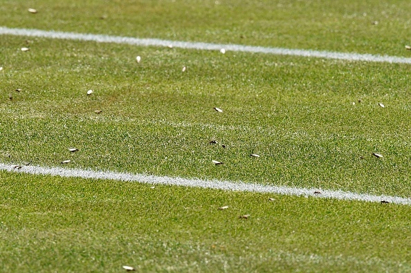 Kien canh 'tan cong' anh 8