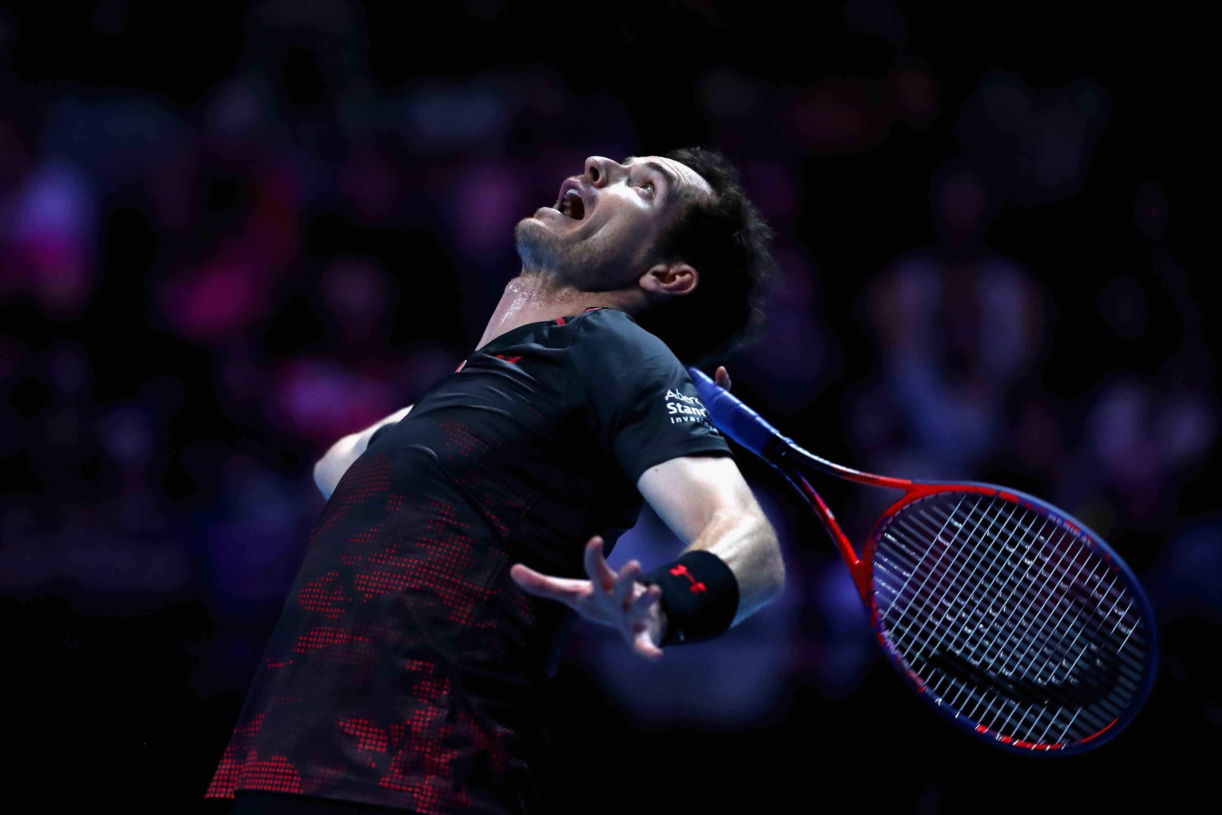 Federer mac vay anh 12