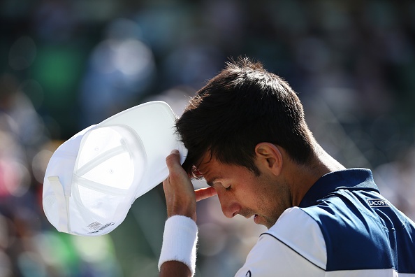 Djokovic nhan that bai kep anh 3