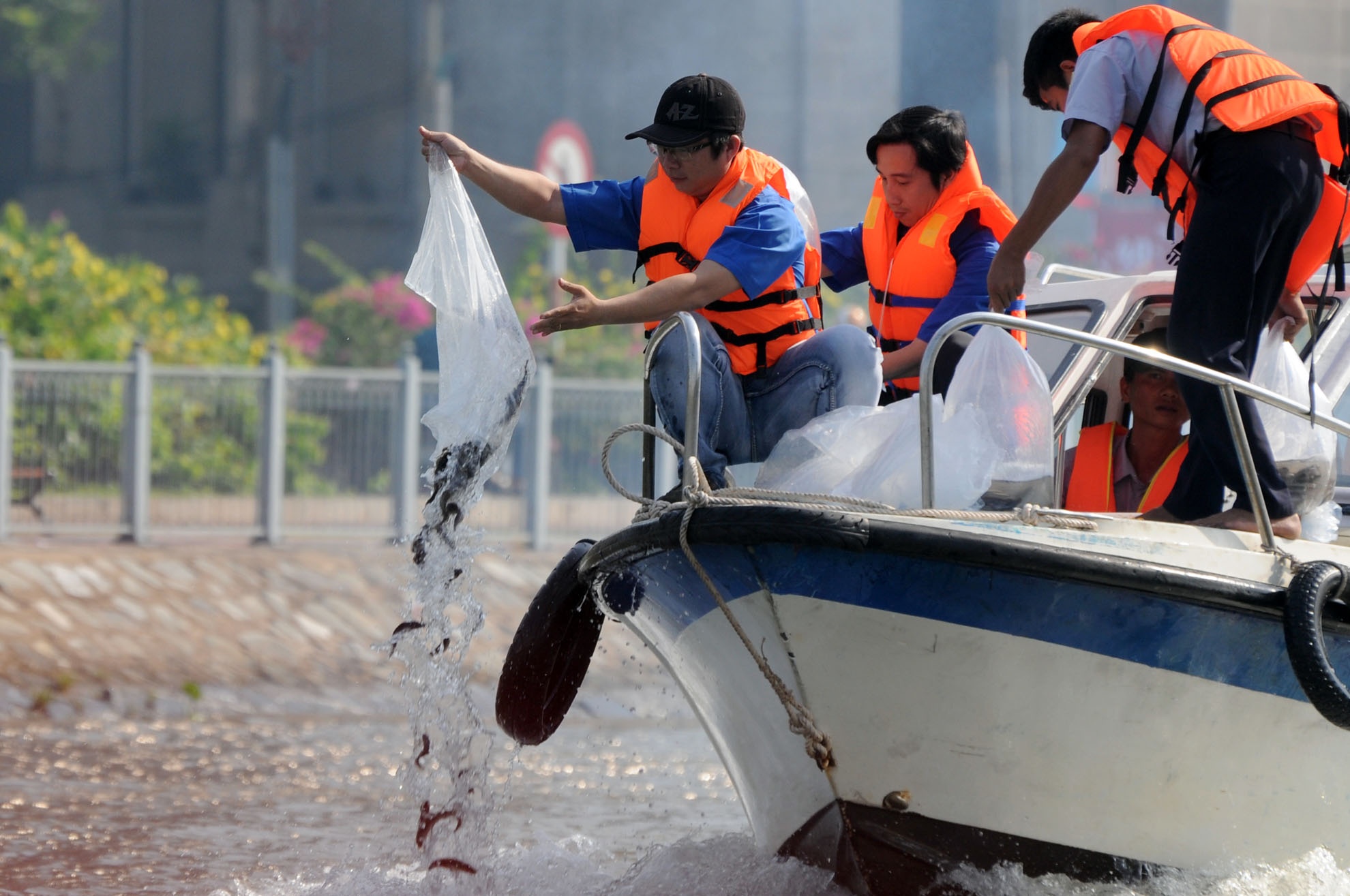 Nguoi dan Sai Gon tha 500.000 con ca xuong kenh Tau Hu hinh anh