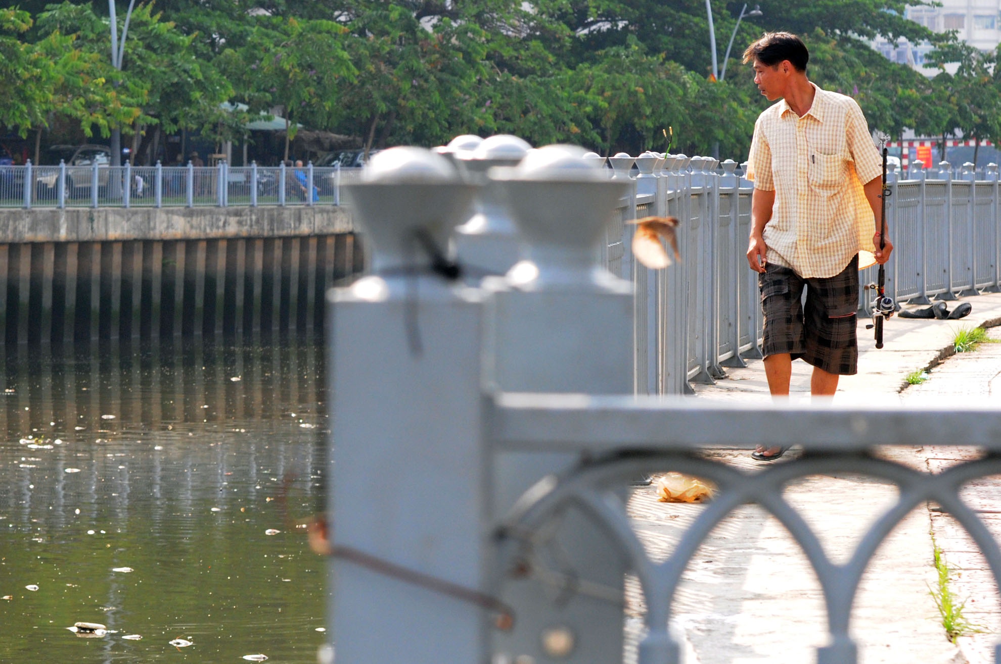 Người đàn ông vác cần về sau khi chứng kiến cá chết hàng loạt trên kênh. Gần đây, nhiều người quăng lưới chích điện để bắt cá trên kênh Nhiêu Lộc cũng ảnh hưởng rất nhiều đến môi trường sống của cá.