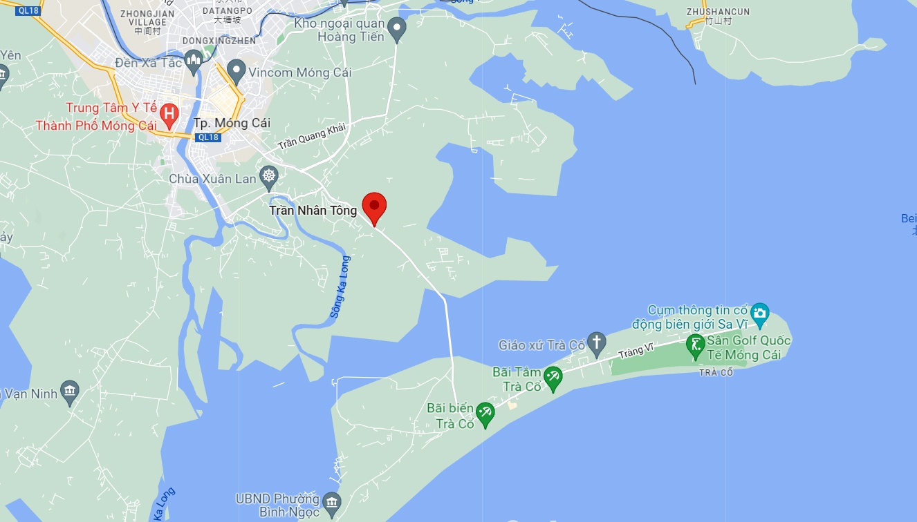 Nu chu quan phun xam tham my bi cat co anh 2