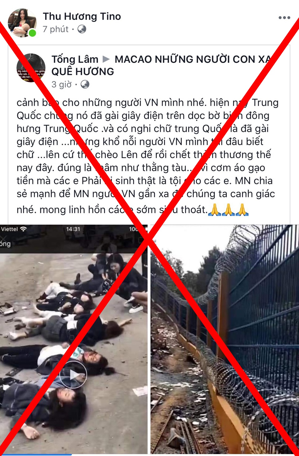 Bac tin 7 cong dan Viet Nam tu vong anh 1