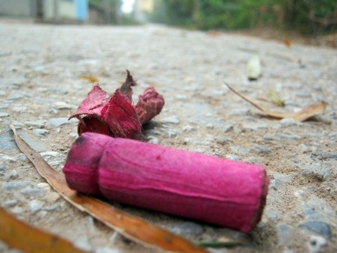 Bat nhom thanh nien san xuat phao hinh anh