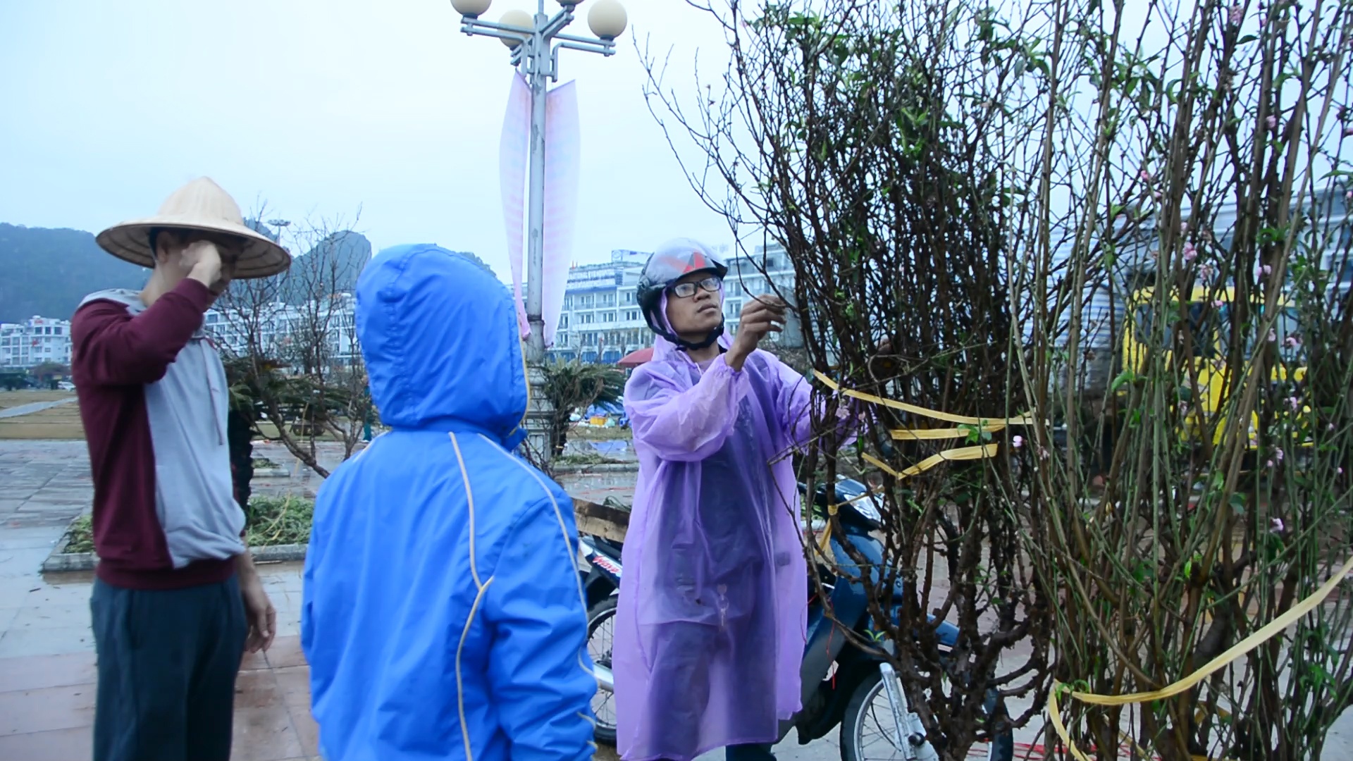 Nguoi Ha Long doi mua mua hoa chieu 30 Tet hinh anh