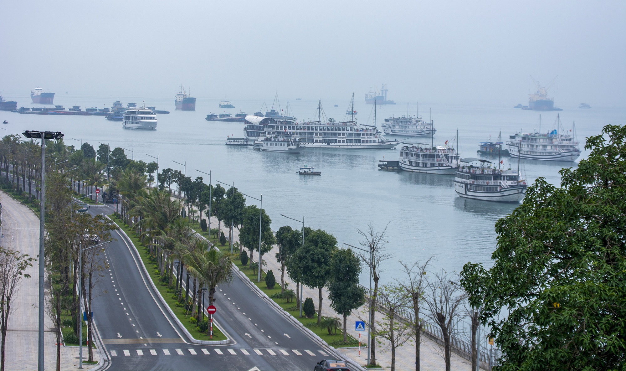 Ha Long vang ve trong ngay dau dung don khach chong Covid-19 anh 1