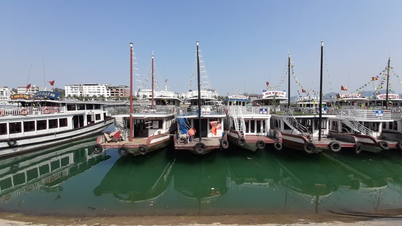 Quang Ninh tam dung don khach du lich de chong dich Covid-19 hinh anh