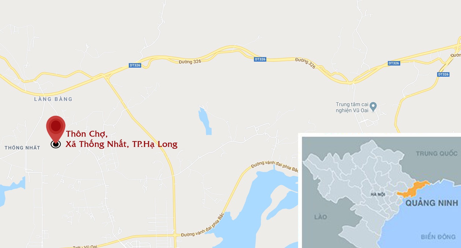 No sung hon chien o tiem tra tranh, anh 2