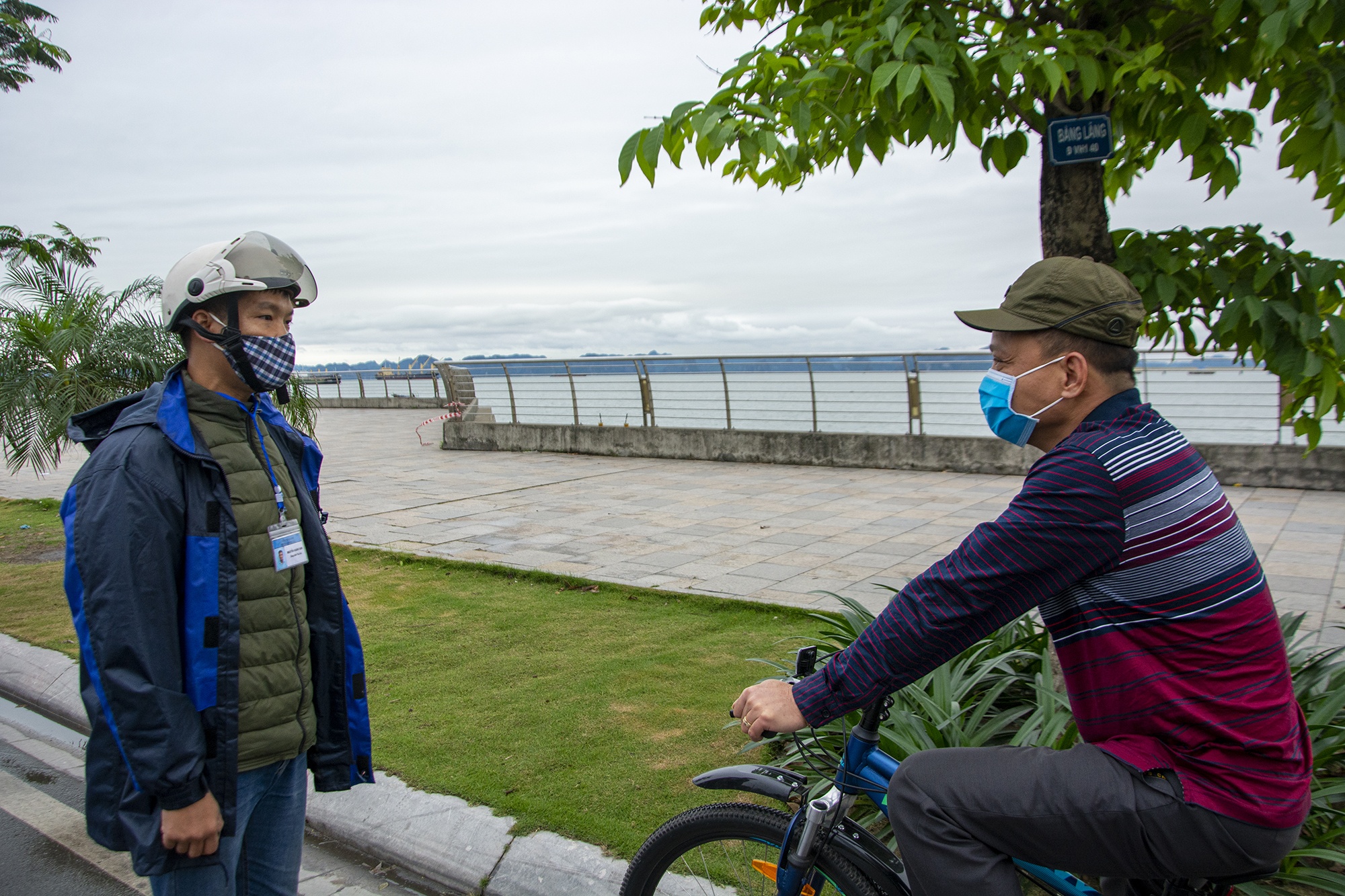 Ha Long beu ten nguoi di cho qua 2 lan/ngay hinh anh