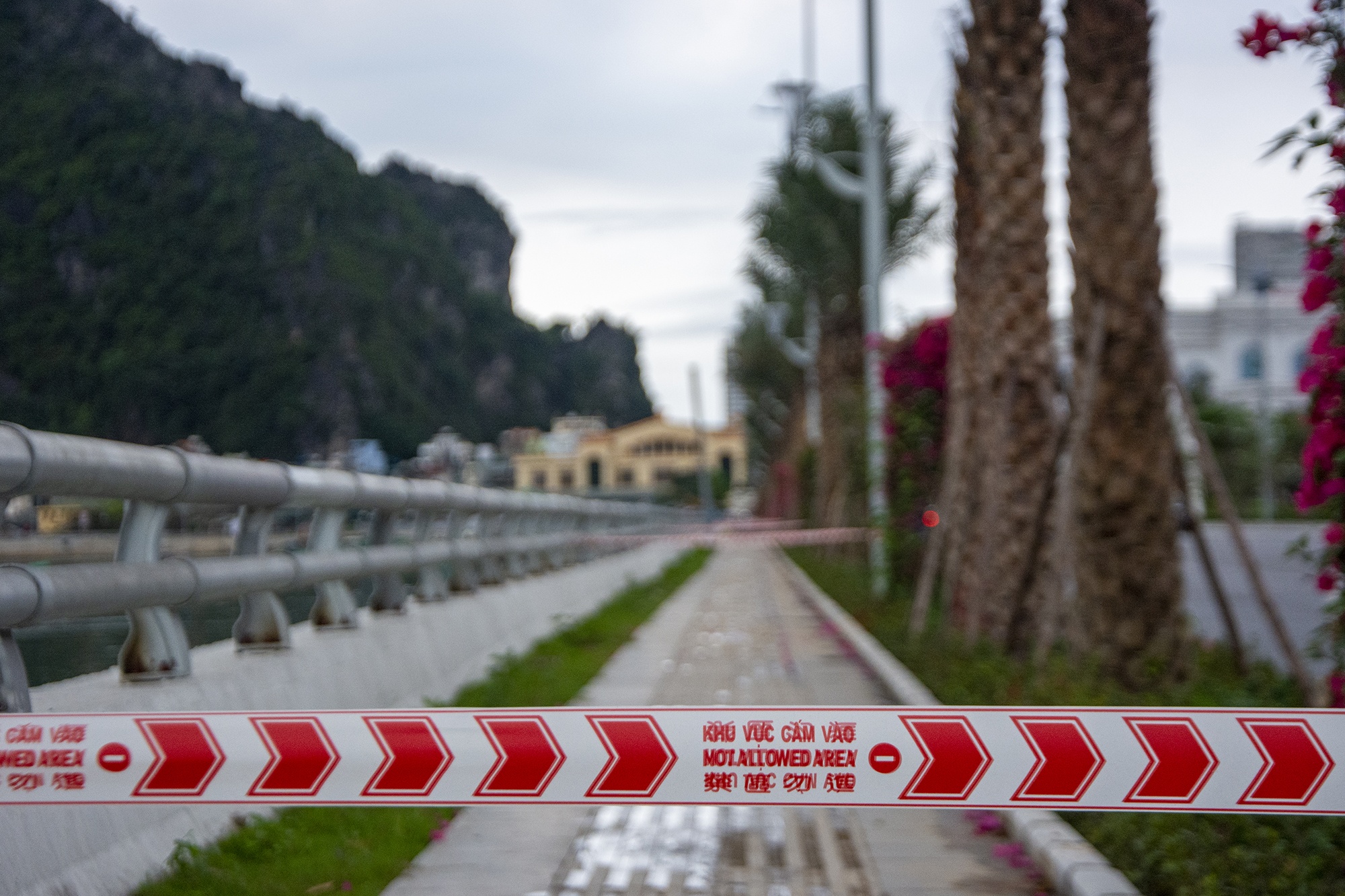 Cong vien dong cua anh 4