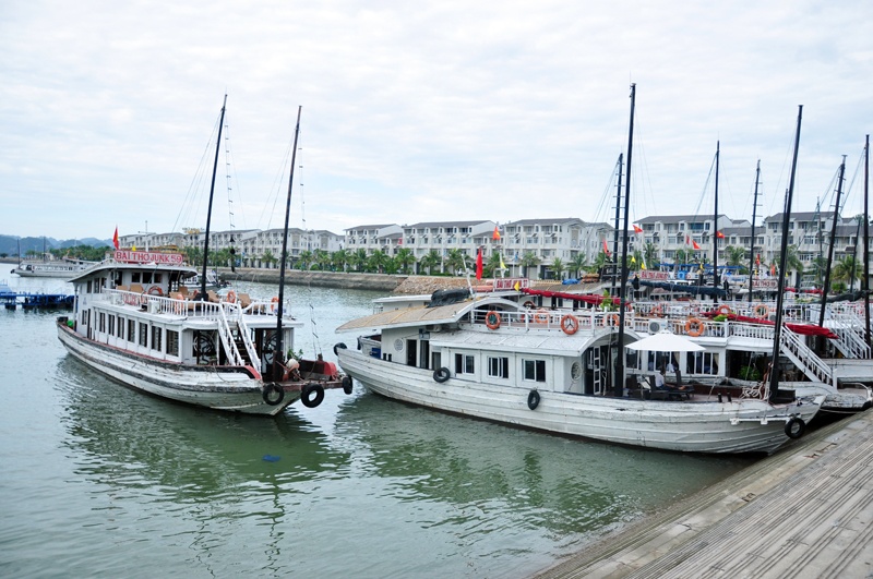 Tau tham quan vinh Ha Long bi to 'chat chem' du khach hinh anh