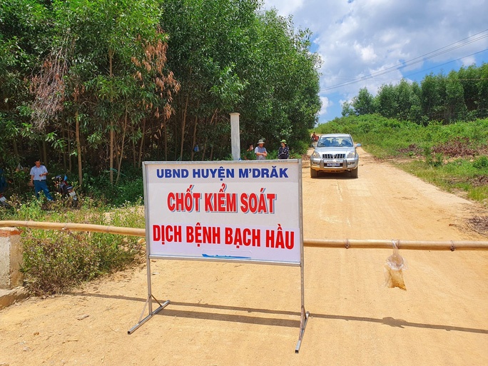 Dak Lak cach ly hang ngan nguoi do dich benh bach hau anh 2