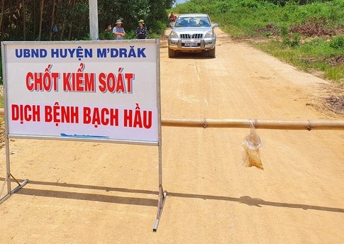 Dak Lak cach ly hang nghin nguoi dan do dich benh bach hau hinh anh