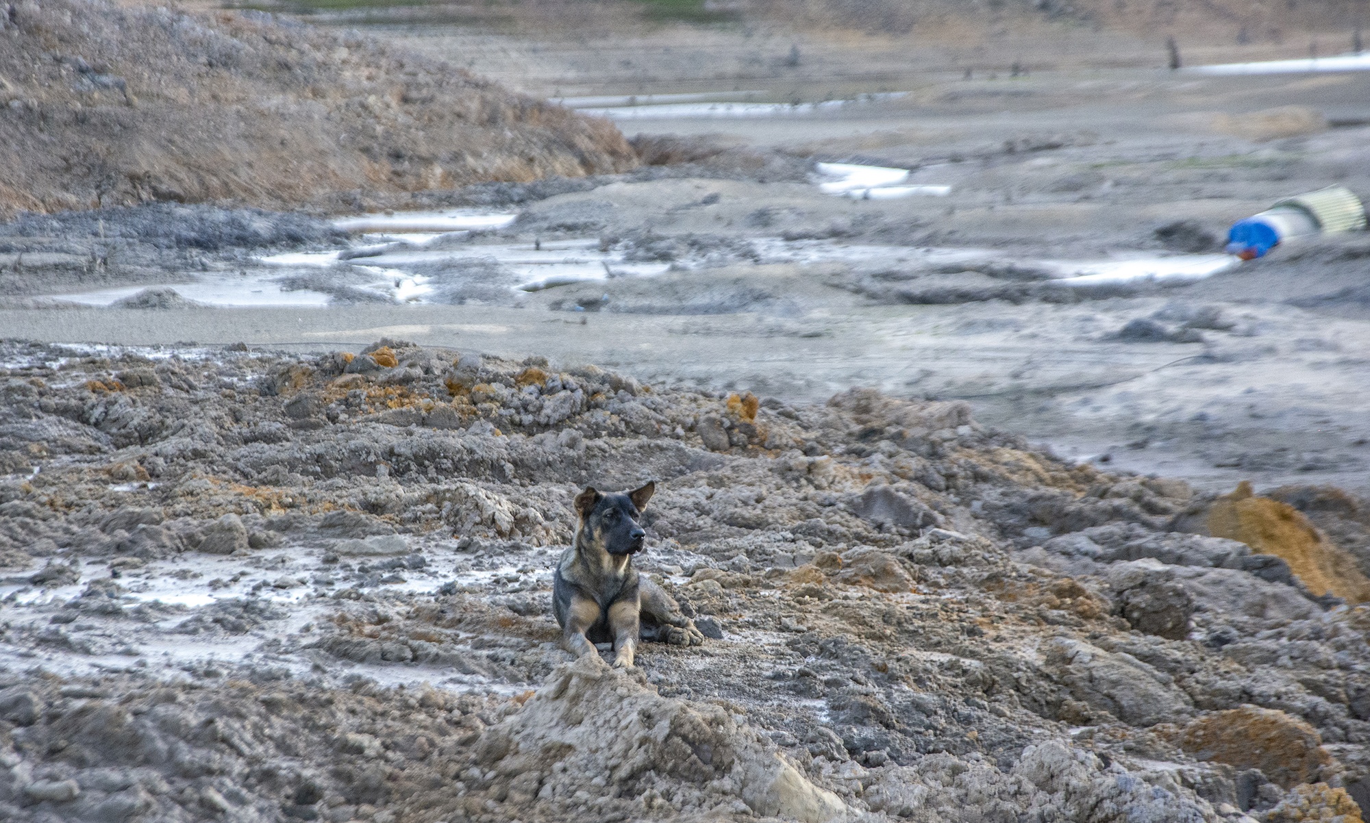Ho nuoc chua nuoc ngot can ky luc sau 40 nam anh 6