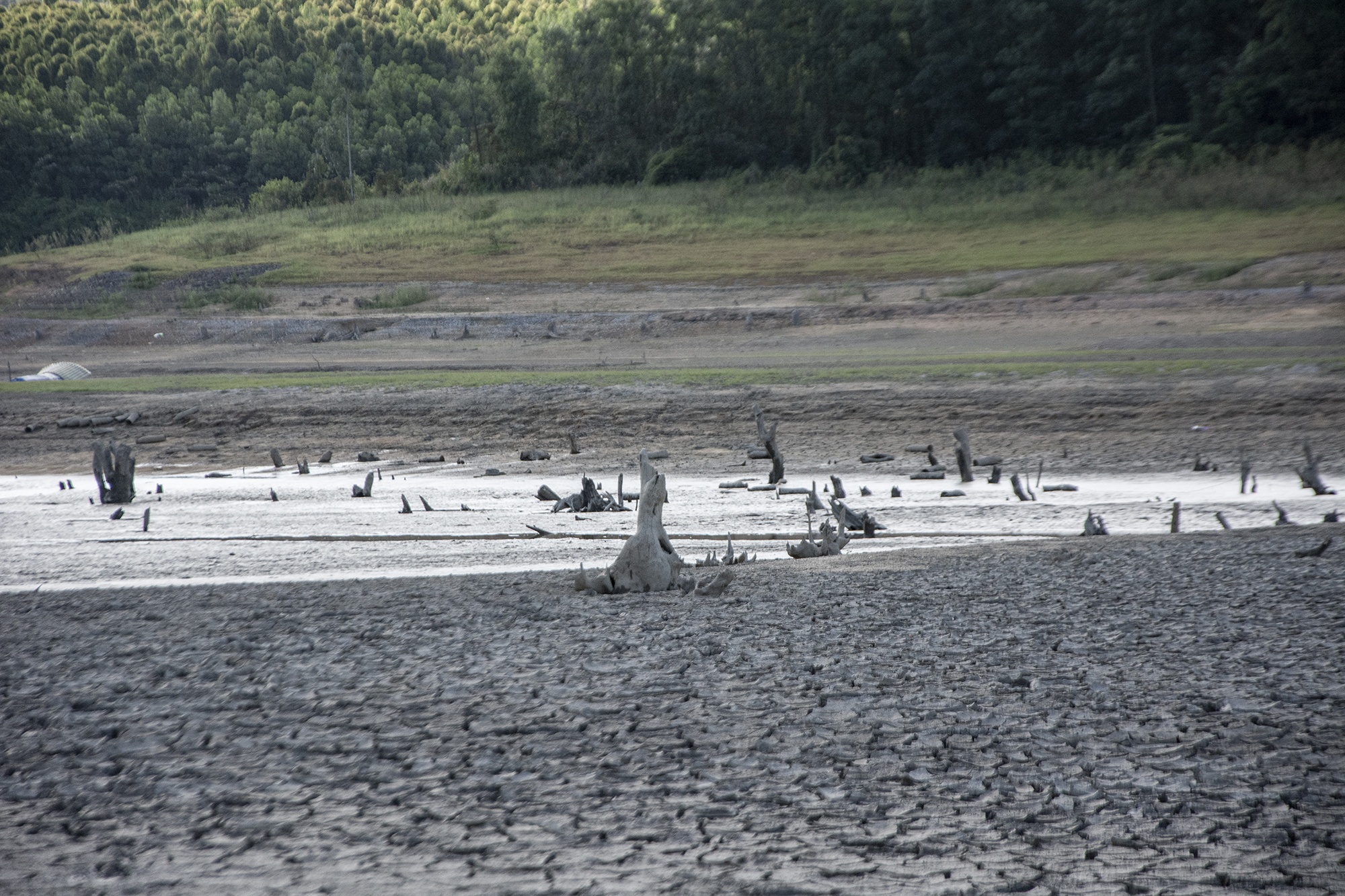 Ho nuoc chua nuoc ngot can ky luc sau 40 nam anh 4