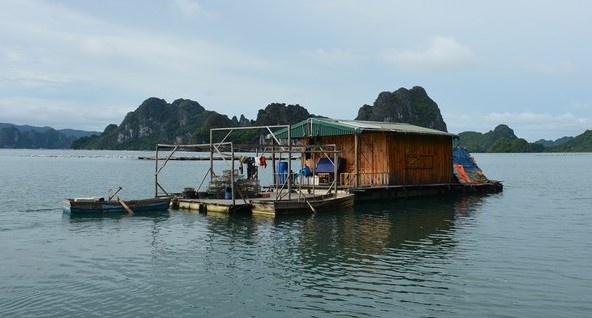 Dot kich soi bac tren be noi giua bien anh 1